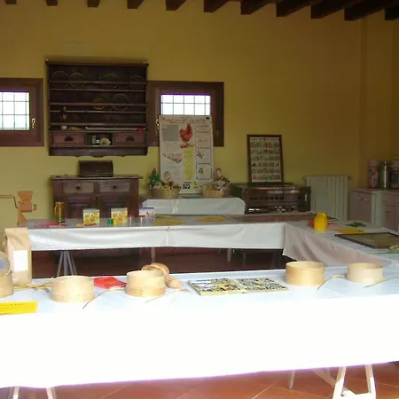 Santa Rita