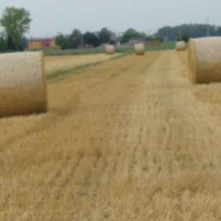Bed and breakfast Santa Rita Módena