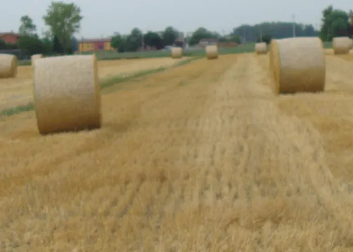 Bed & Breakfast Santa Rita Modena