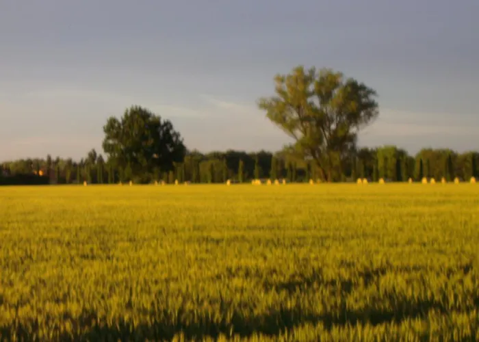 לינה וארוחת בוקר Santa Rita